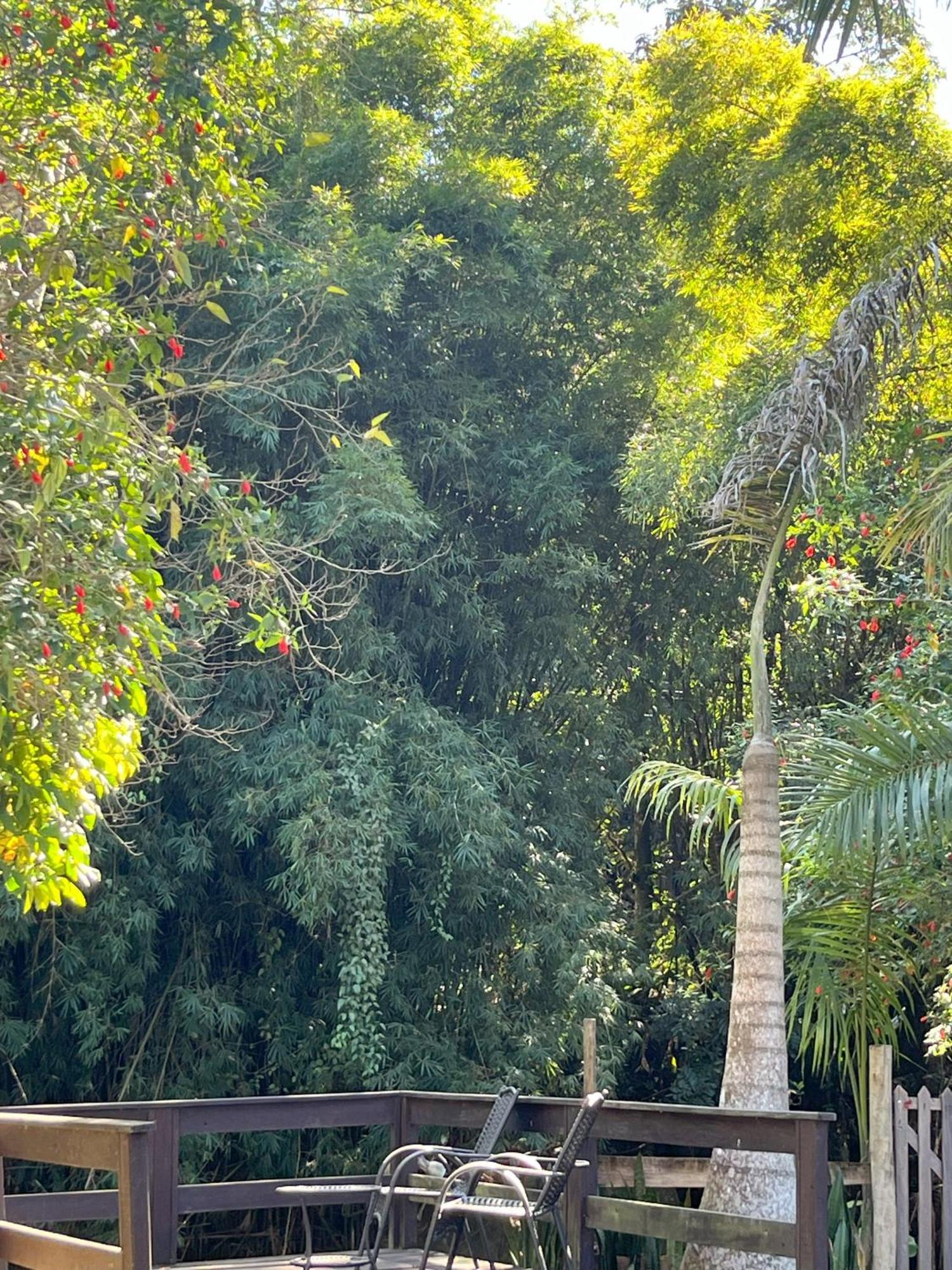 Casa Di Maria 4 Quartos A 500M Centro - Sauna, Piscina, Fogao A Lenha, Churrasqueira - Acesso Privativo Ao Ao Rio - Ideal Para Familias Nova Friburgo Exteriör bild